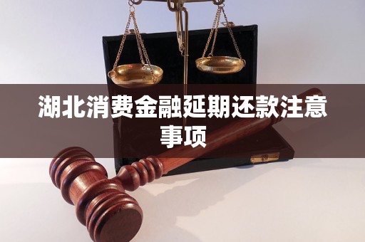 湖北消費(fèi)金融延期還款注意事項(xiàng)