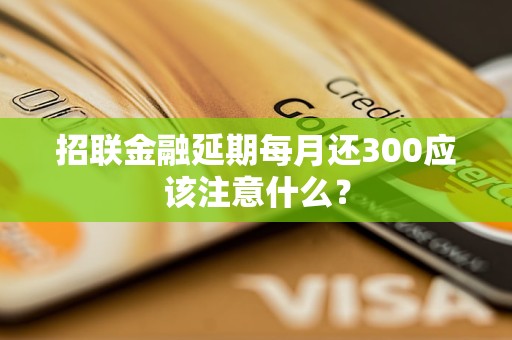 招聯(lián)金融延期每月還300應(yīng)該注意什么？