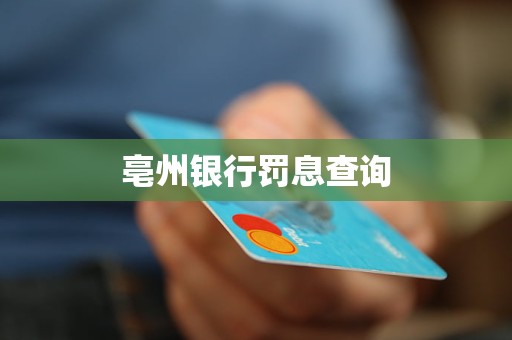 亳州銀行罰息查詢