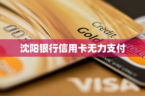 沈陽銀行信用卡無力支付