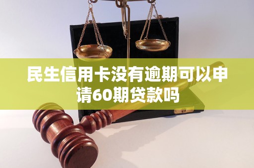 民生信用卡沒(méi)有逾期可以申請(qǐng)60期貸款嗎