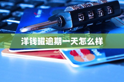 洋钱罐逾期一天怎么样