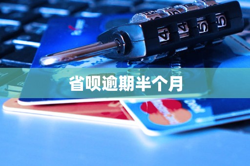 省呗逾期半个月