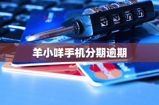 羊小咩手机分期逾期