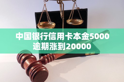 中國(guó)銀行信用卡本金5000逾期漲到20000