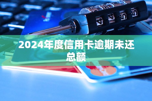 2024年度信用卡逾期未還總額