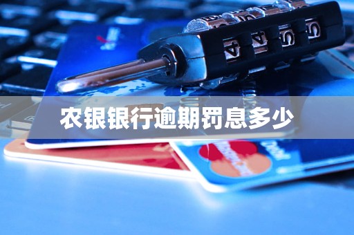 農(nóng)銀銀行逾期罰息多少