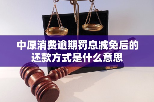 中原消費(fèi)逾期罰息減免后的還款方式是什么意思