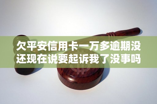 欠平安信用卡一萬(wàn)多逾期沒(méi)還現(xiàn)在說(shuō)要起訴我了沒(méi)事嗎