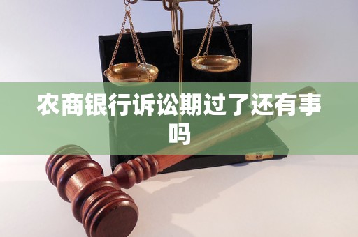 農(nóng)商銀行訴訟期過了還有事嗎