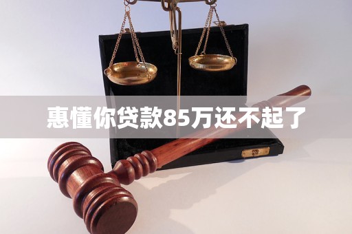 惠懂你貸款85萬還不起了