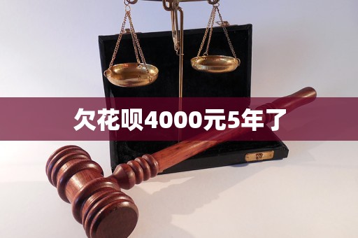 欠花唄4000元5年了