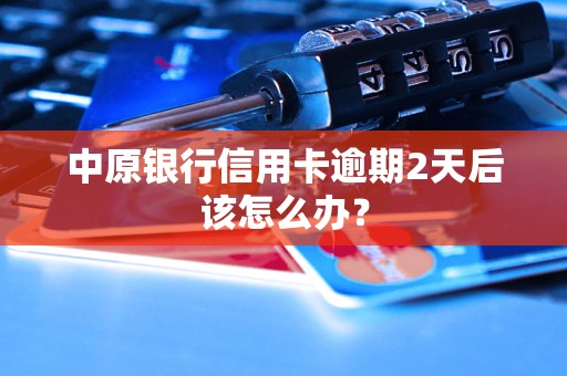 中原銀行信用卡逾期2天后該怎么辦？