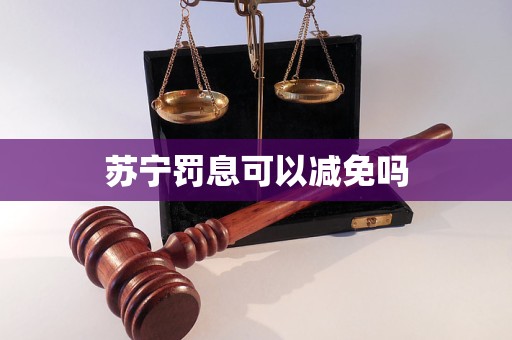 蘇寧罰息可以減免嗎