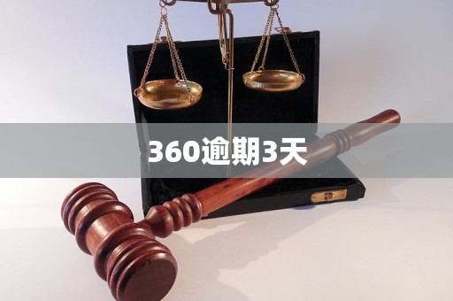 360逾期3天