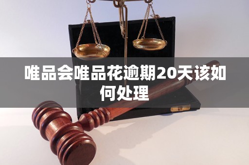 唯品會(huì)唯品花逾期20天該如何處理