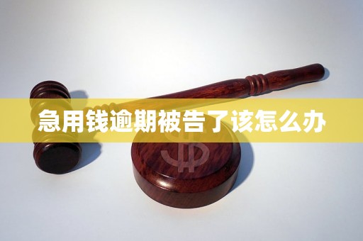 急用錢(qián)逾期被告了該怎么辦