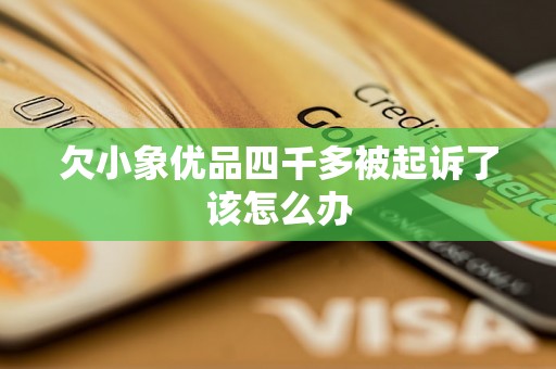 欠小象优品四千多被起诉了该怎么办
