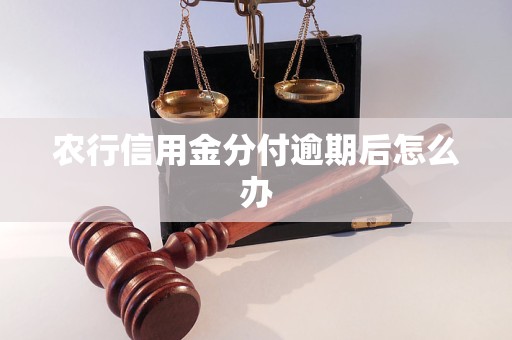 農(nóng)行信用金分付逾期后怎么辦