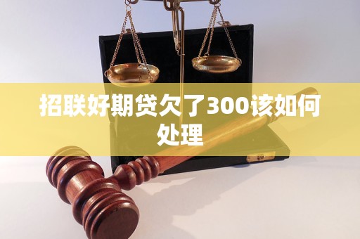 招聯(lián)好期貸欠了300該如何處理