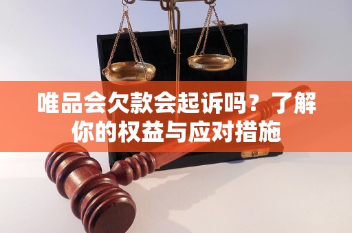 唯品會欠款會起訴嗎？了解你的權益與應對措施