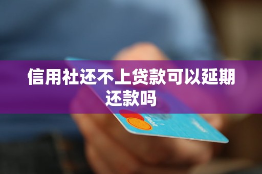 信用社還不上貸款可以延期還款嗎