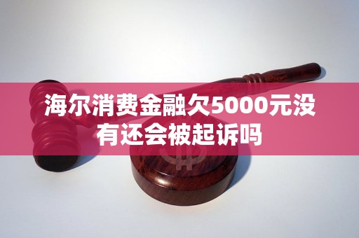 海爾消費金融欠5000元沒有還會被起訴嗎