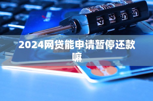 2024網(wǎng)貸能申請暫停還款嘛