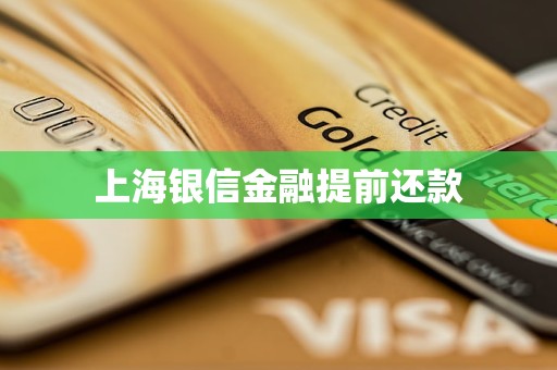 上海銀信金融提前還款