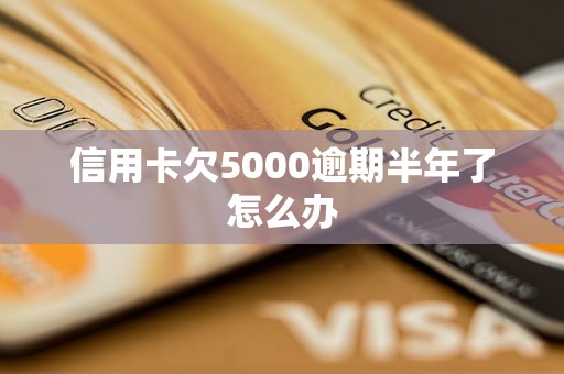 信用卡3500逾期半年(信用卡3500逾期一年会不会坐牢)