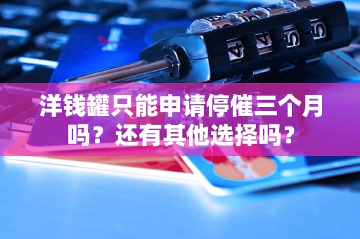 洋钱罐只能申请停催三个月吗?还有其他选择吗? 洋钱罐只能申请停催三个月吗?还有其他选择吗?