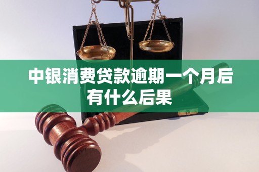 中銀消費貸款逾期一個月后有什么后果