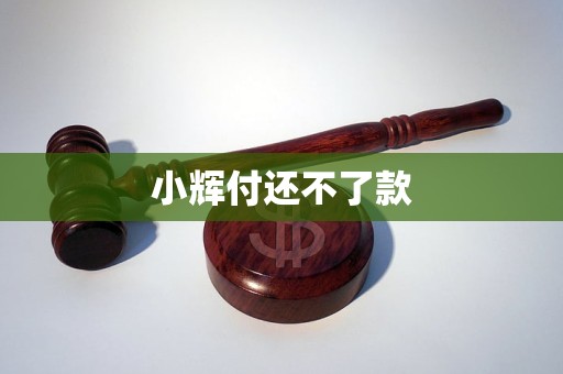 小輝付還不了款