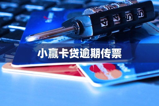 小赢卡贷逾期传票