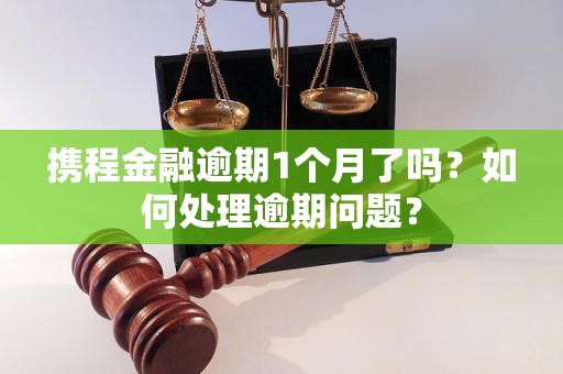 攜程金融逾期1個(gè)月了嗎？如何處理逾期問題？