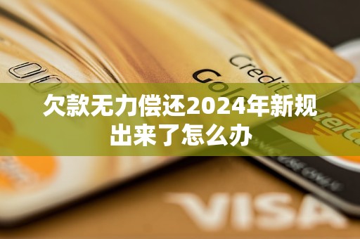 欠款無力償還2024年新規(guī)出來了怎么辦