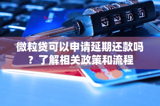 微粒貸可以申請延期還款嗎？了解相關政策和流程