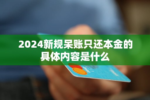 2024新規(guī)呆賬只還本金的具體內(nèi)容是什么