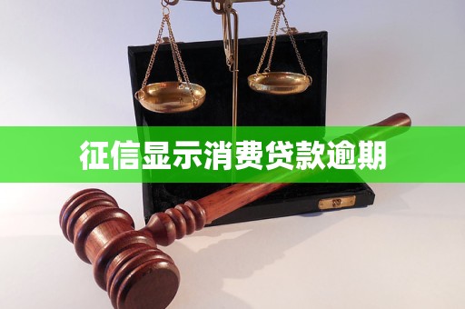 征信顯示消費貸款逾期