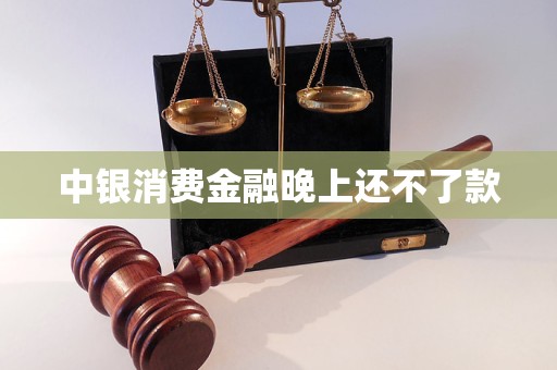 中銀消費(fèi)金融晚上還不了款