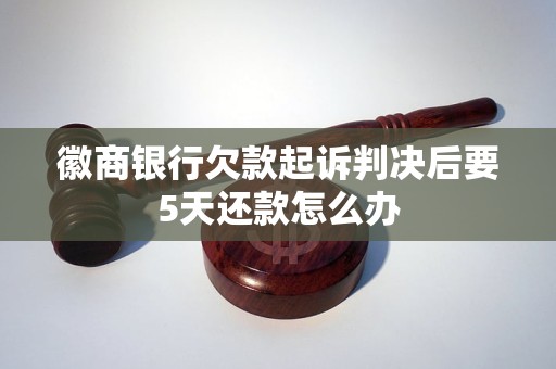 徽商銀行欠款起訴判決后要5天還款怎么辦