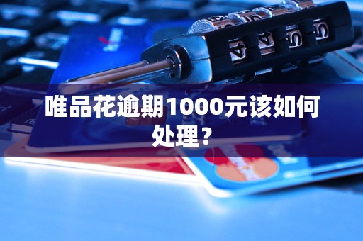 唯品花逾期1000元該如何處理？