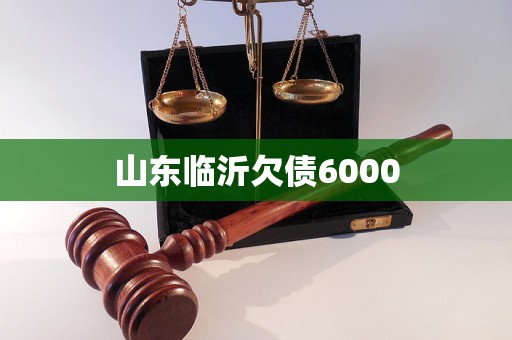 山東臨沂欠債6000