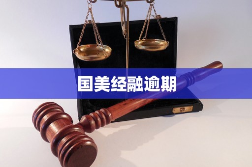 国美经融逾期