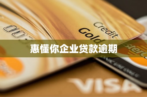 惠懂你企業(yè)貸款逾期