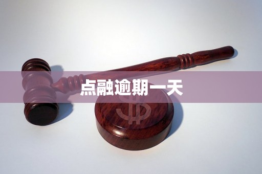 点融逾期一天