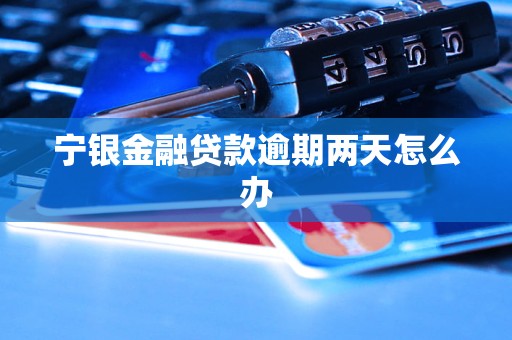 寧銀金融貸款逾期兩天怎么辦