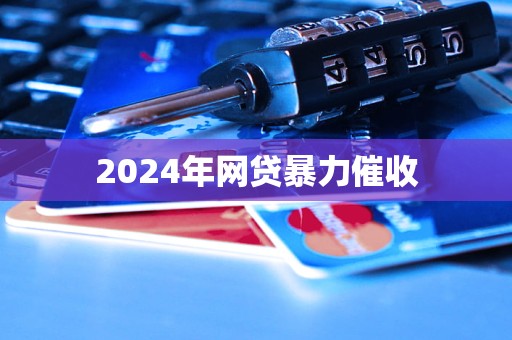 2024年網(wǎng)貸暴力催收