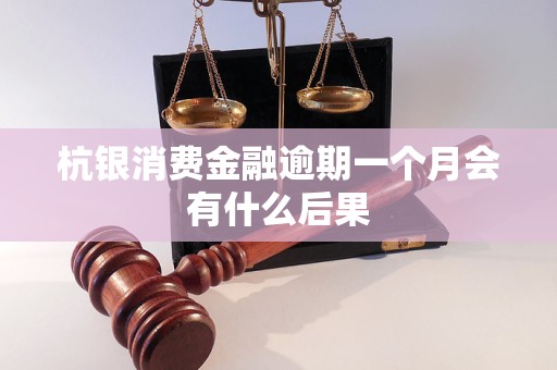 杭銀消費(fèi)金融逾期一個(gè)月會(huì)有什么后果