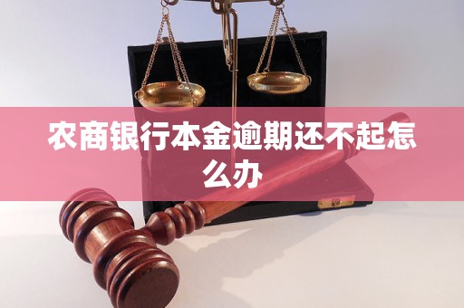 農(nóng)商銀行本金逾期還不起怎么辦